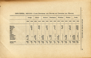 1918-1919 Influenza Statistics